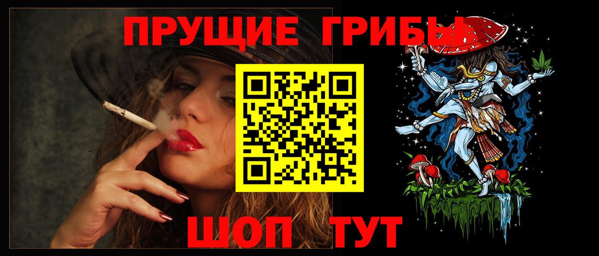 Псилоцибиновые грибы Psilocybine cubensis  Вход с VPN  Гай 